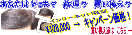 �_���g�c�l�C�@�j���p����L�����y�[����