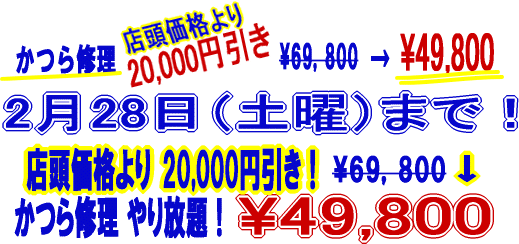 ����C�� �����20,000�~������49,800�~